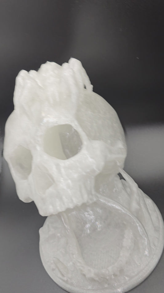 💀 Haunted Skull Dice Roller
